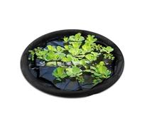 Isola galleggiante pianta protettore pesce barriera stagno decorazione acqua ingranaggio circolare pesce barriera guardia