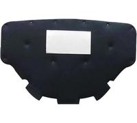 Isolamento cofano isolante per BMW G20 G28 2019 2020 2021 tappetino isolante termico per cofano auto Motore Insonorizzazione Termico Cotone Tappetino Firewall Pad Copertura