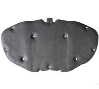 Isolamento cofano Per Jaguar Per F-PACE Dal 2016 Al 2020 Isolamento Termico E Acustico Del Cofano Motore Dell'auto Tappetino In Cotone Fonoassorbente Isolamento auto