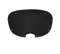 Isolamento cofano Tappetino Insonorizzante Per Bagagliaio Anteriore In Cotone Per Tesla Per Model 3 2017-2022 Piastra Antiurto Isolamento Acustico Piedino Tappetino Isolante Motore