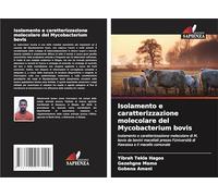 Isolamento e caratterizzazione molecolare del Mycobacterium bovis: Isolamento e caratterizzazione molecolare di M. bovis da bovini macellati presso l'Università di Hawassa e il macello comunale
