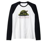 Isole Galapagos Tartaruga Ecuador Maglia con Maniche Raglan