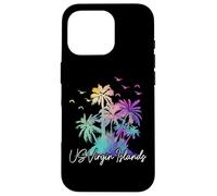Isole Vergini americane Pride Beach Vacation USVI Vintage Custodia per iPhone 16 Pro