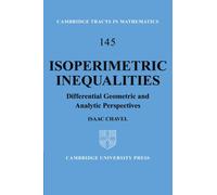 Isoperimetric Inequalities: Differential Geometric and Analytic Perspectives