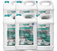 Isopropanolo 30L Tecnicamente 99,9% IPA detergente e sgrassatore per...