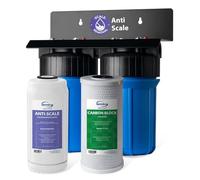 iSpring WGB21B-DS Filtro Acqua Ingresso Generale, Purificatore Acqua per Tutta la Casa, Filtro Anticalcare + CTO 10"x4.5" (Cloro e Odori), Connessione 1", Senza Calcare e Protezione Tubi