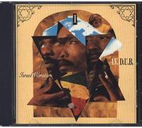 Israel Vibration - I.V.D.U.B.