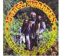 Israel Vibration - Strength of My Life