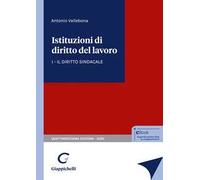 Istituzioni di diritto del lavoro. Vol. 1: Il diritto sindacale