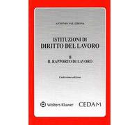 Istituzioni di diritto del lavoro. Vol. 2: Il rapporto di lavoro
