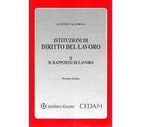 Istituzioni di diritto del lavoro. Vol. 2: Il rapporto di lavoro
