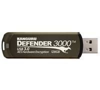 iStorage Defender 3000 (KDF3000-128G)
