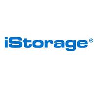 IStorage Kanguru Defender 3000 unità flash USB 256 GB USB tipo-C 3.2 Gen 1 [3.1