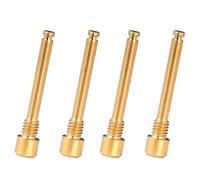ISTOVO 4X Bulloni in Titanio per Pastiglie Freno A Disco per Bicicletta Inserti Filettati Perni per XT R XT-Golden