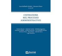 Istruzione nel processo amministrativo