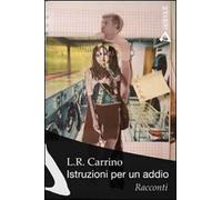 Istruzioni per un addio