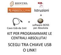ISTRUZIONI SOFTWARE BOSS 4.20 cavo USB chiave USB LINK DOWNLOAD bentel absoluta