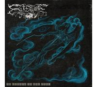 It Echoes in the Wild