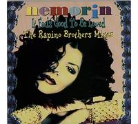 It Feels Good To Be Loved (The Rapino Brothers Mixes)