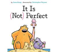 It Is Not Perfect
