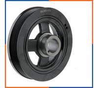 NTY Puleggia cinghia RKP-MS-005 albero a gomiti per Citroën, Mitsubishi, Peugeot