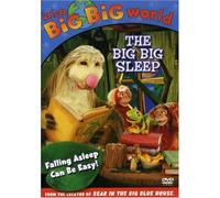 It S a Big Big World - Big Big Sleep