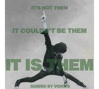 It S Not Them It Couldnt Be Them.-Guided By Voices-Audio CD
