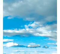 Thirty Seconds To Mars - It's The End Of The World But It's A Beautiful Day (Orange Opaque Coloured) (Limited Edition) (LP)