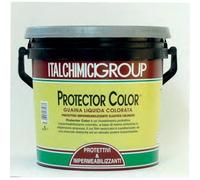 ITALCHIMICI PROTECTOR COLOR EXPORT GUAINA LIQUIDA IMPERMEALIZZANTE GRIGIA KG 5