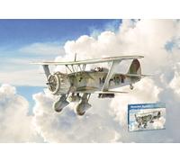 ITALERI IT2819 HENSCHEL HS 123 KIT 1:48 Modellino