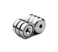 ITALFITMAGNETI | 6 pezzi - Magneti con Foro Neodimio Forza 13 Kg - Diametro 20 mm Spessore 7 mm con foro svasato 4,5 mm da avvitare