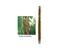 Italgarden's S TLG012 Bastone Muschiato, Multicolore