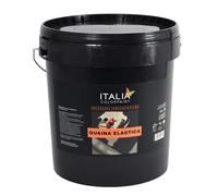 Italia colorpaint Guaina Elastica Impermeabilizzante Protettivo Membrana Elastomerica Terrazze Tetti Coperture Legno Gazebo (Kg 20, Grigio Premium)