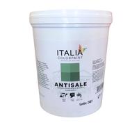 Italia colorpaint I Pre Trattamenti Bonificanti Trasparente Antisale Antisalmastro Umidità Pareti e Pavimenti (Litri 1)