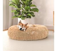 Italian Bed Linen Morbida Cuccia Dreams per Cani e Gatti, Vaniglia, 60x60cm