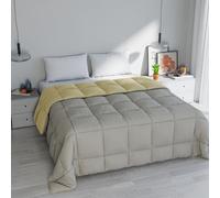 Italian Bed Linen Trapunta Invernale Matrimoniale 260x260 cm, Bicolore, Doubleface, Microfibra, Made in Italy - Piumone Imbottitura 300gr GrigioChiaro/Panna