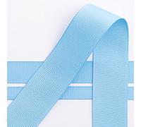Italian Options Nastro in grosgrain, rotolo da 25 mm x 10 m, blu chiaro