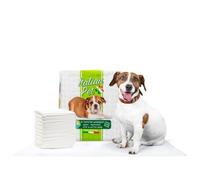 Italian Pet Traverse per Animali Super Assorbenti 60x90 cm - Tappetini Igienici per Cani e Gatti Multiuso, Neutralizzano Gli Odori - 10 Pezzi