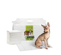 Italian Pet - Traverse per Animali Super Assorbenti - Tappetini Igienici per Cani e Gatti Multiuso, Neutralizzano Gli Odori - Dimensioni 60x60 cm - 90 Pezzi