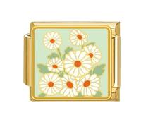 Italiano Charm Link Bracciale Gioielli Making Modulo Parte Fiori Di Accesso Temi Braccialetto Fabbricazione Rifornimenti Per I Componenti Tecnici Gioielli, Taglia unica, come descritto