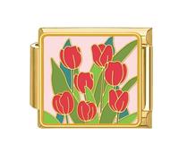 Italiano Charm Link Bracciale Gioielli Making Modulo Parte Fiori Di Accesso Temi Braccialetto Fabbricazione Rifornimenti Per I Componenti Tecnici Gioielli, Taglia unica, come descritto