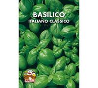 Italsementi Basilico Italiano Classico