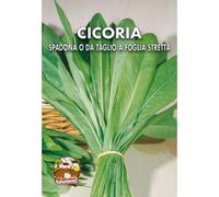 Italsementi Cicoria Spadona da Taglio (Foglia Stretta)