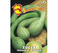 Italsementi Zucca Tromba di Albenga
