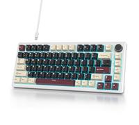 iTastatur Tastiera da gioco cablata al 75%, supporto con guarnizione sostituibile a caldo, interruttore bianco, tastiera meccanica TKL a 82 tasti, NKRO Creamy per PC, laptop, Windows Gamer