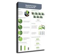ITCLEYMDZV Drivers Ed Classroom Decor Seat Belt Poster Instructional Chart for Driving Instructors Training Material(Framed,16x24inch(40x60cm))