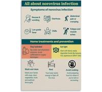 ITCLEYMDZV Educational Human Anatomy Poster Norovirus Info Canvas Wall-Art Home Decor Gift for Nurses Doctors Students(Framed,12x18inch(30x45cm))