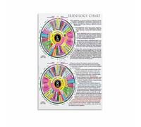 ITCLEYMDZV Iridology Reference Guide Poster - Detailed Eye Iris Chart & Body Zone Map, Educational Canvas Print(Unframed,16x24inch(40x60cm))