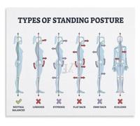 ITCLEYMDZV Standing Posture Mistakes and Spine Disorders Poster Ergonomic Tips for Desk Workers Home Office Decor(Framed,12x18inch(30x45cm))