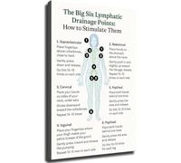 ITCLEYMDZV The Big Six Lymphatic Drainage Points How to Stimulate Them Poster Wall-Art Stylish Room Decor for Kitchen Living Room Bedroom(Unframed,08x12inch(20x30cm))